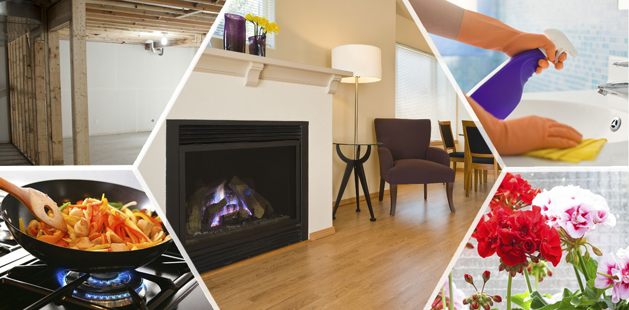 Indoor Air Pollution