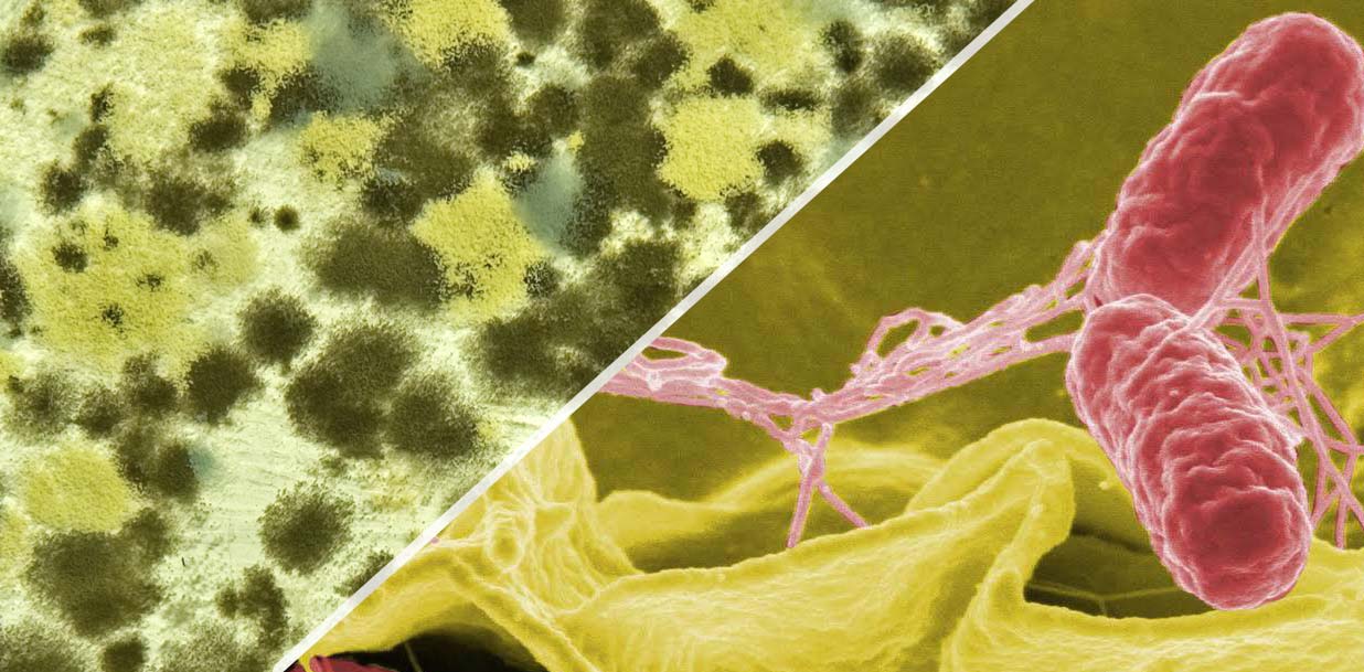 Indoor Air Pollution